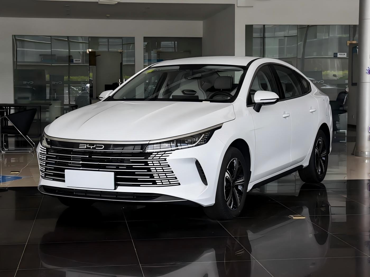 2025 BYD Destroyer 05