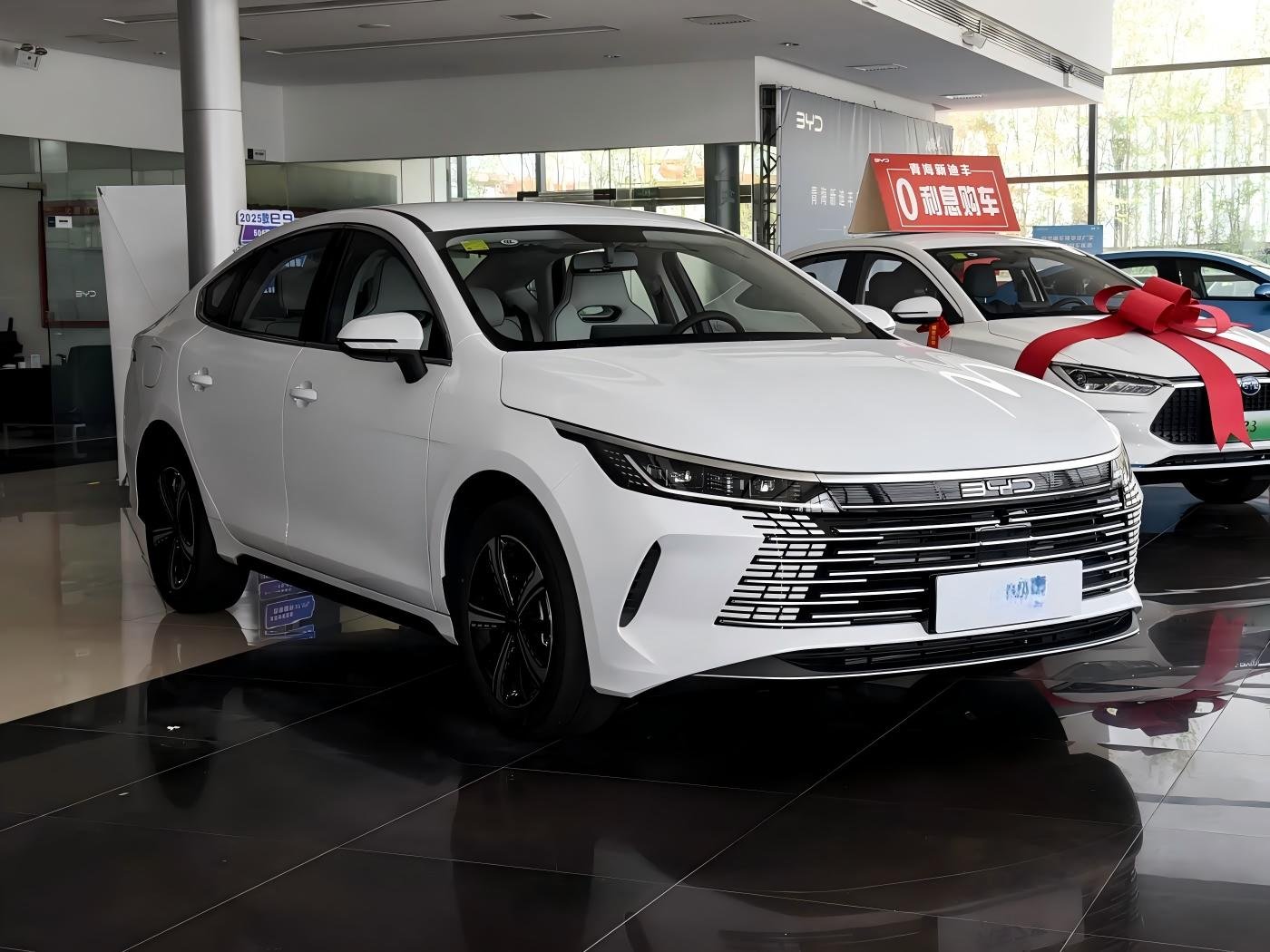 2025 BYD Destroyer 05