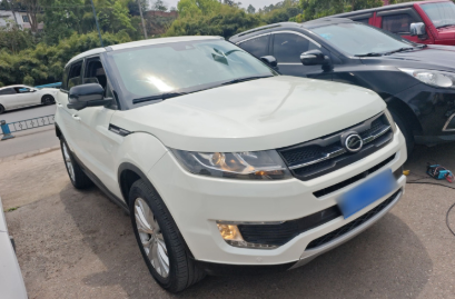 Land Wind X7 - White