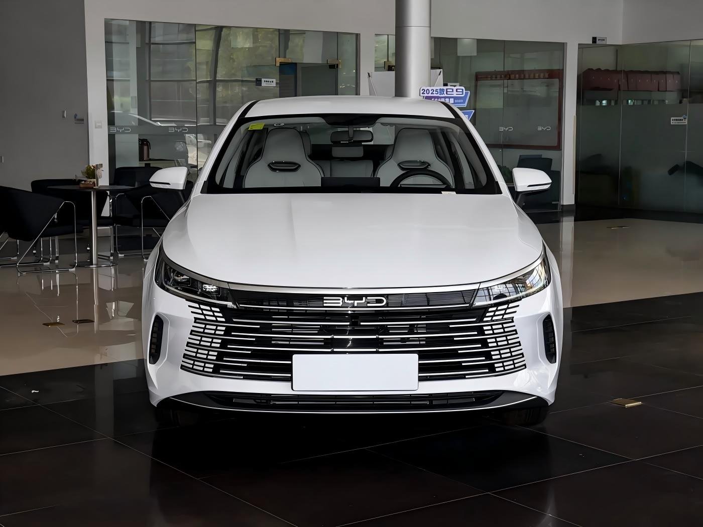 2025 BYD Destroyer 05