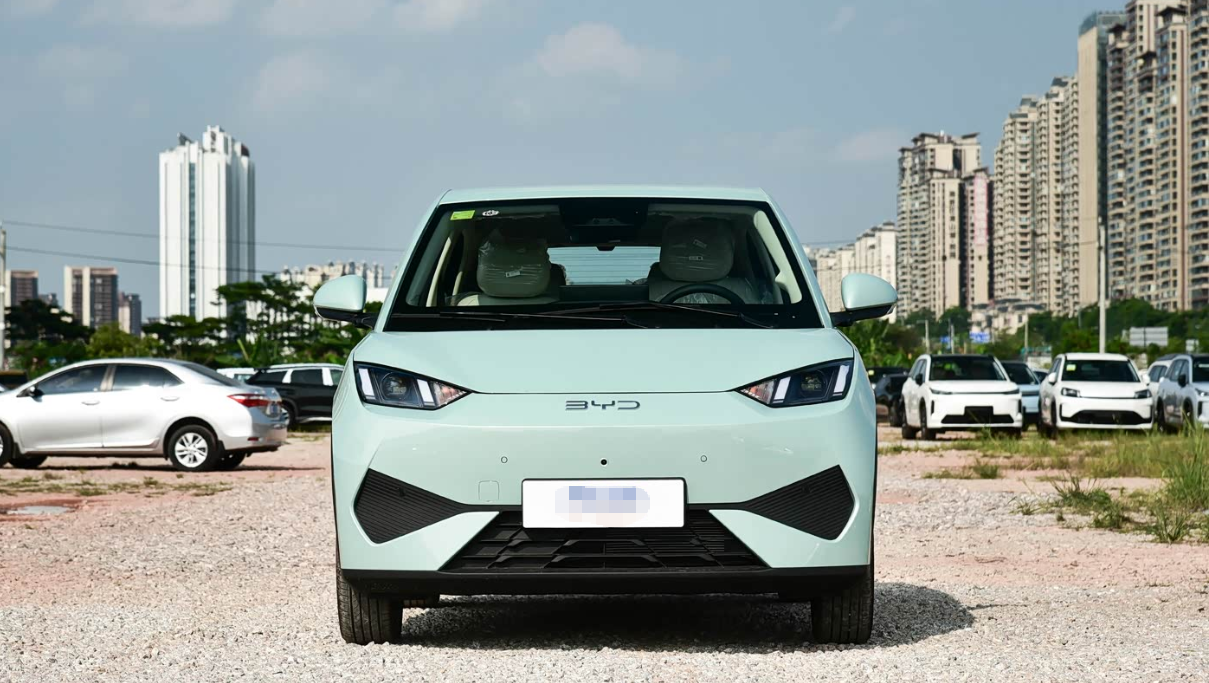 BYD  Seagull