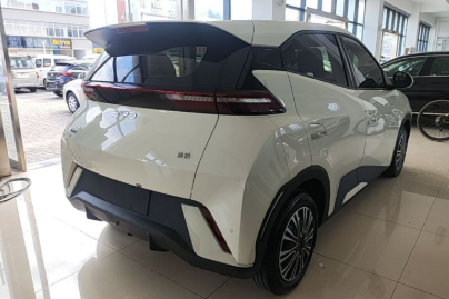 2025 BYD Seagull