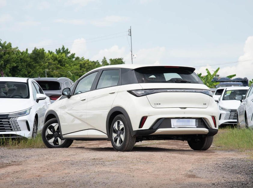 2025 BYD Dolphin