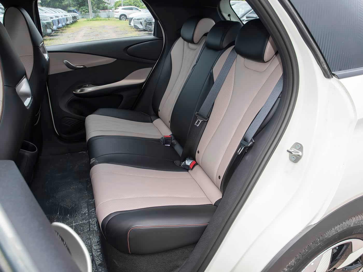 2025 BYD Dolphin
