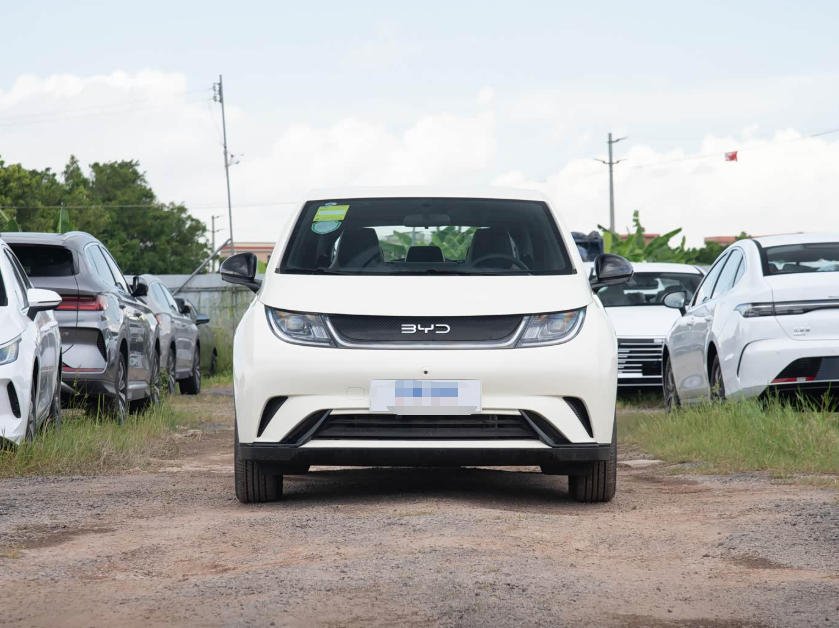 2025 BYD Dolphin