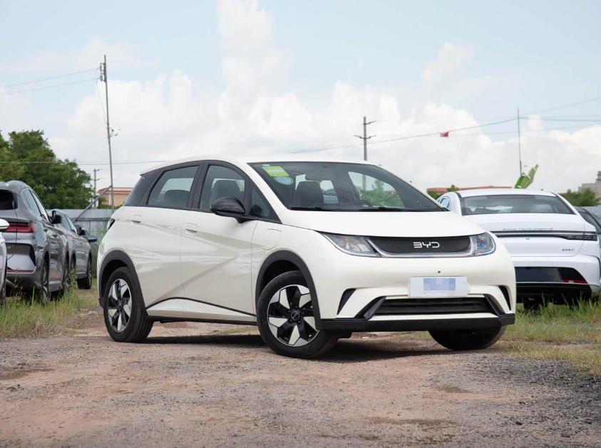 2025 BYD Dolphin