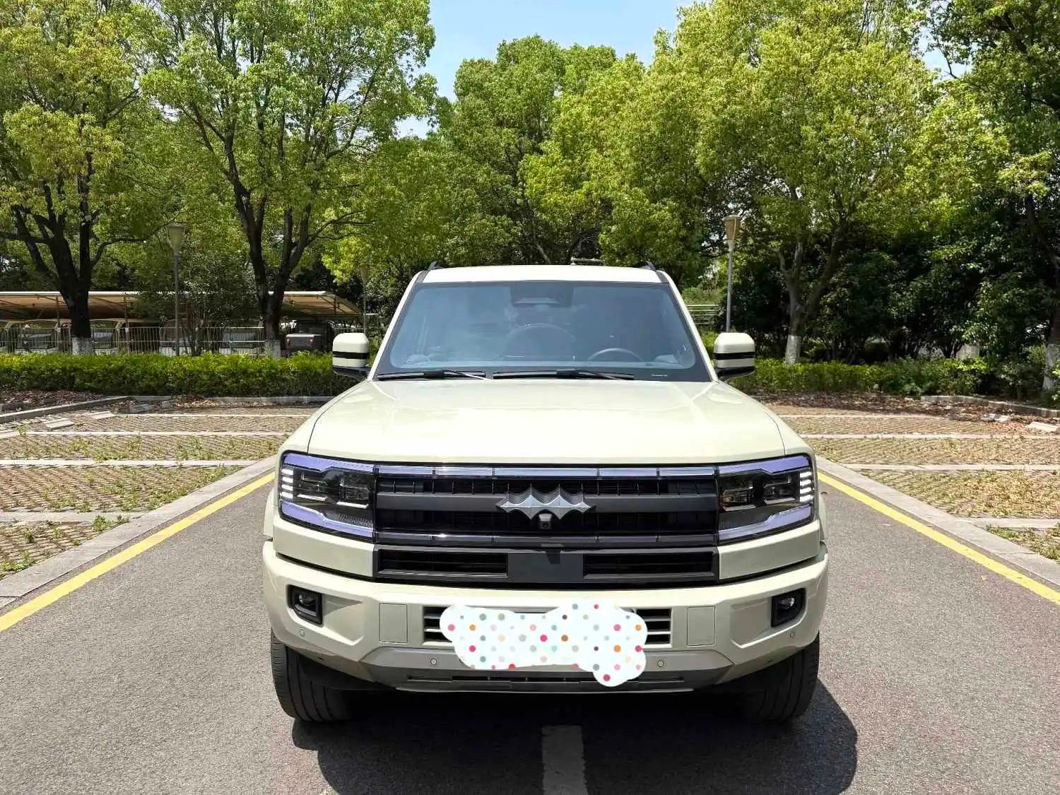 2025 Leopard 5 1.5 T PHEV